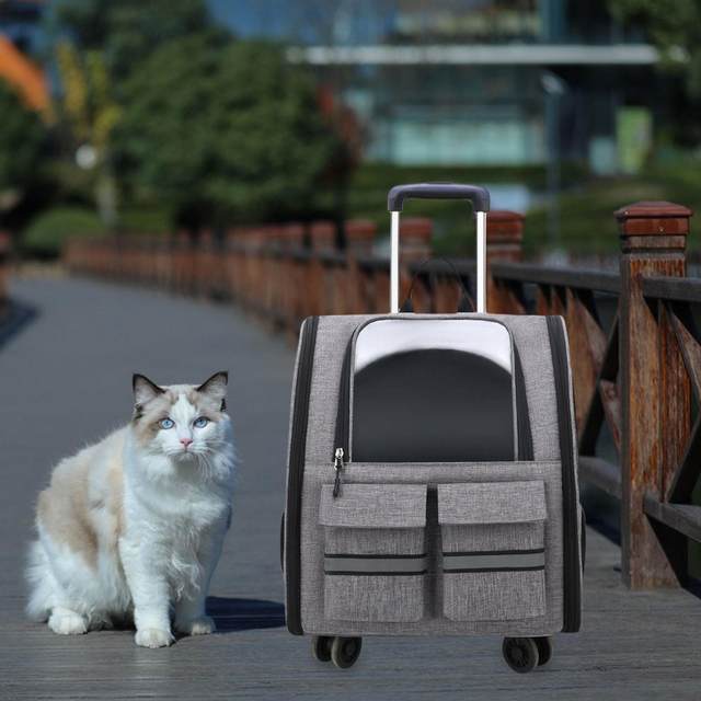 Zaino Trasportino Per Cani Con Ruote – Trolley Con Manico Telescopico, Tracolla E Doppie Ruote, Per Animali Piccoli/Medi, Colore Blu