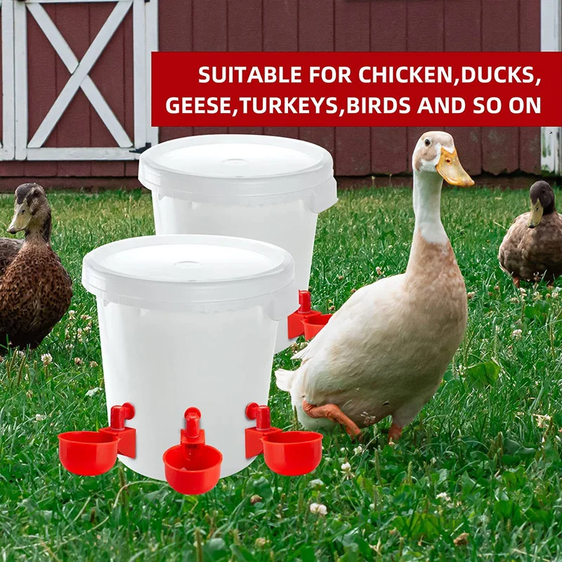 Chicken Duck Drinking Cup Automatic Drinker Chicken Feeder Plastic Poultry Farm Water Drinking Cups Water Feeder for Goose Quail
