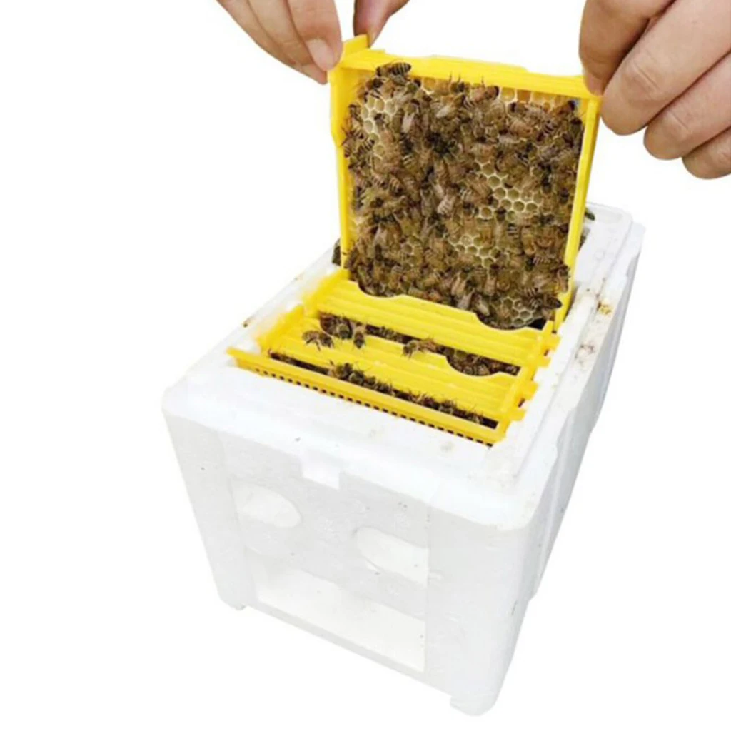 Bee Beekeeping Pollination Boxes Foam Plastic Beekeeping Tools
