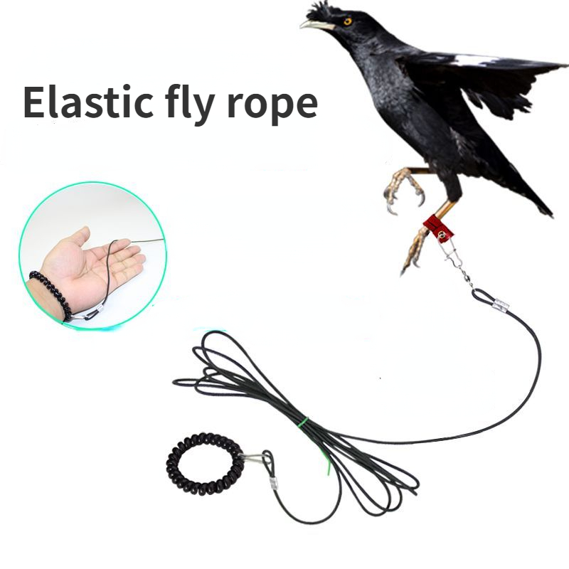 Title 1, Birds Use Light Flying Ropes To Raise Myna, and...