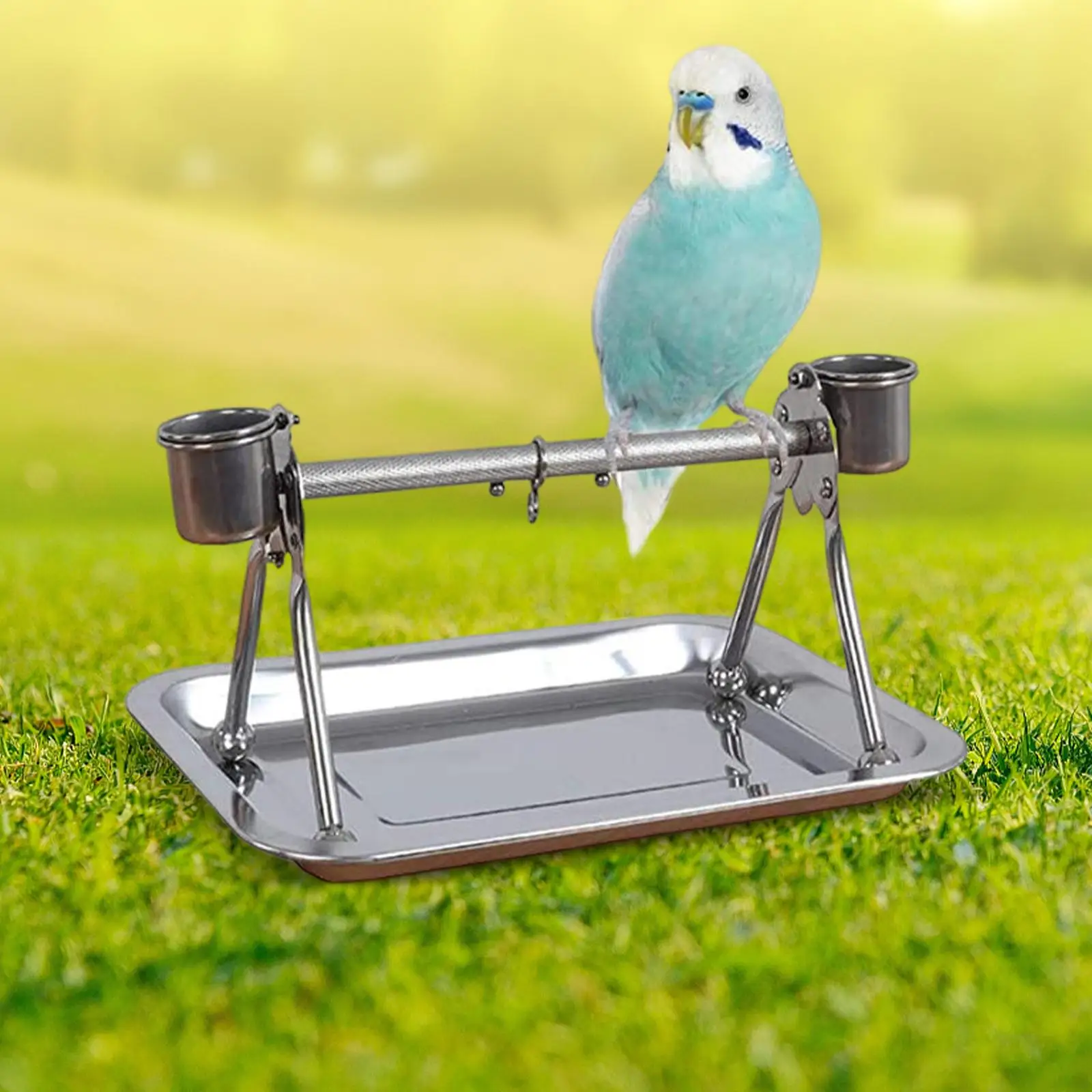 Bird Perch Stand Desktop Bird Cage Perch with Feeding Cups Gym for Lovebirds