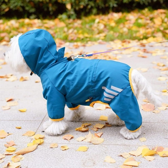 Pet raincoats on sale