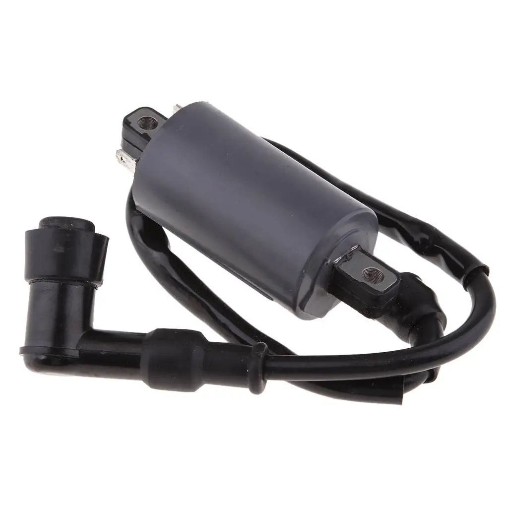 Replacement Ignition Coil For Buyang 300CC    Engine  Bike  Moped Mini Bikes