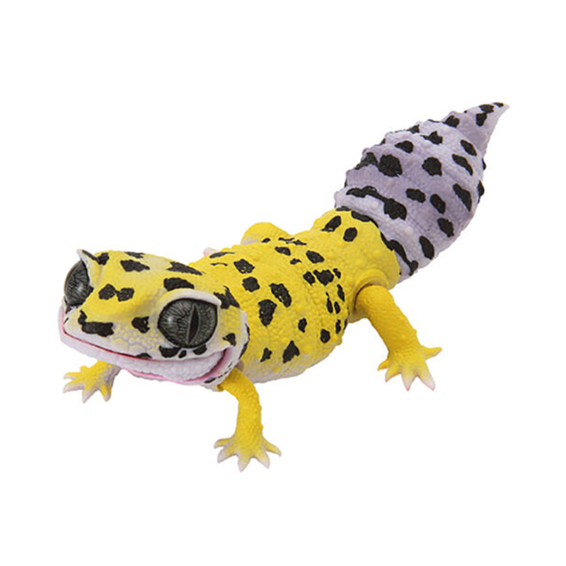 Gecko models
