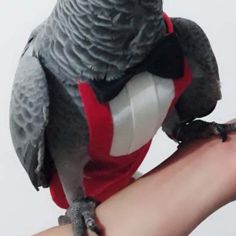 Bird Diaper Flight Suite, schützende Papageienwindeln mit wasserdichter Innenschicht, niedlicher Urin-Nassanzug mit Fliege für – Detail 6