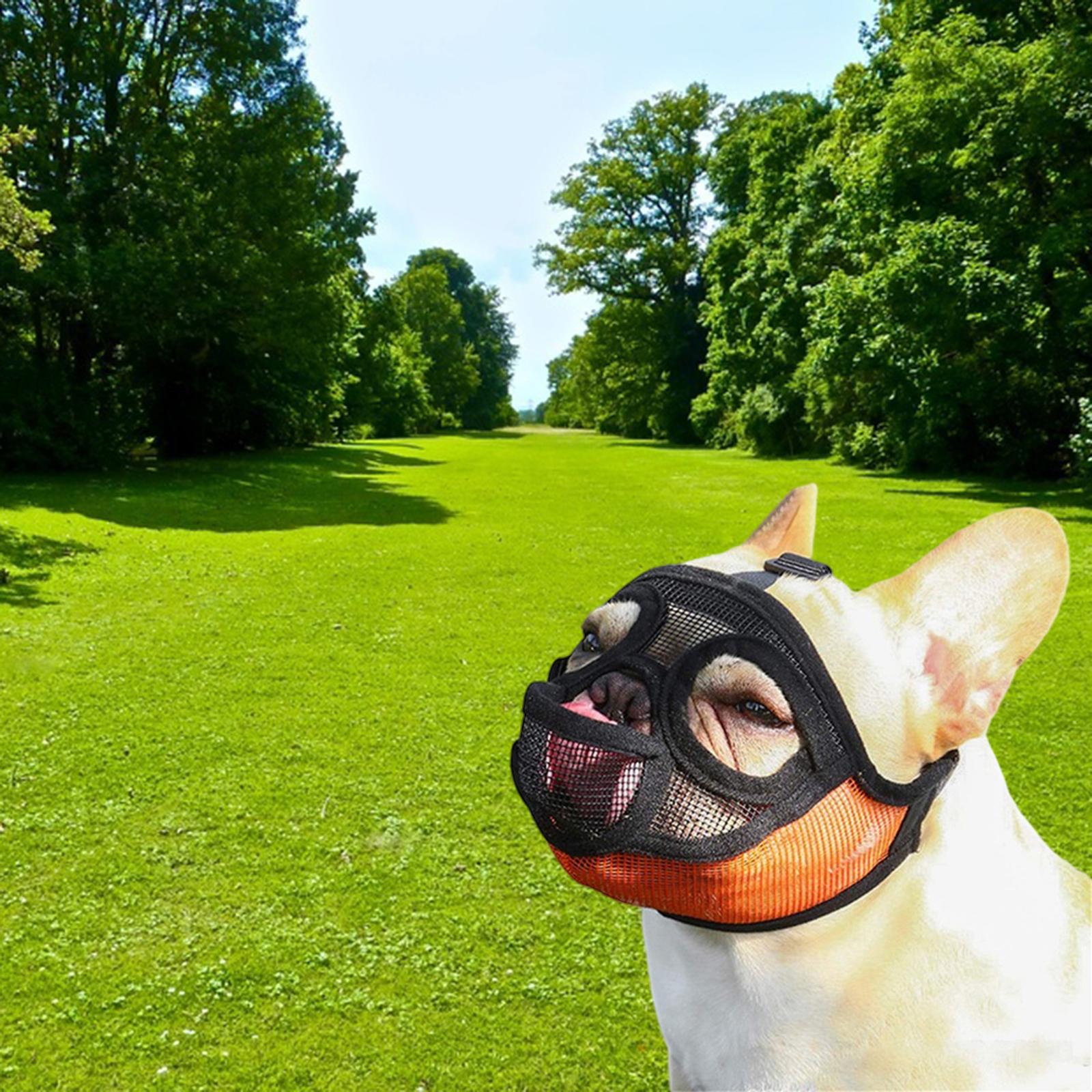 Short Snout Dog Muzzles- Adjustable Breathable Mesh   Muzzle for Anti Biting Chewing Barking Training Accessories