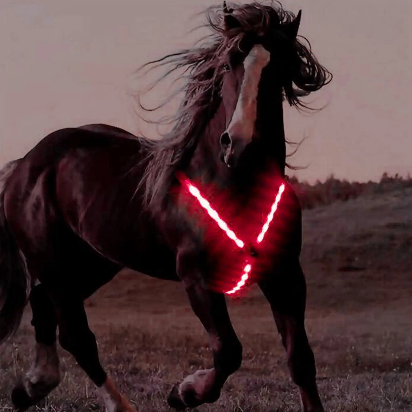 Outdoor Adjustable LED Horse Breastplate Collar Equestrian Safety Equipment Night Visible Horse Chest Harness Protective Belt