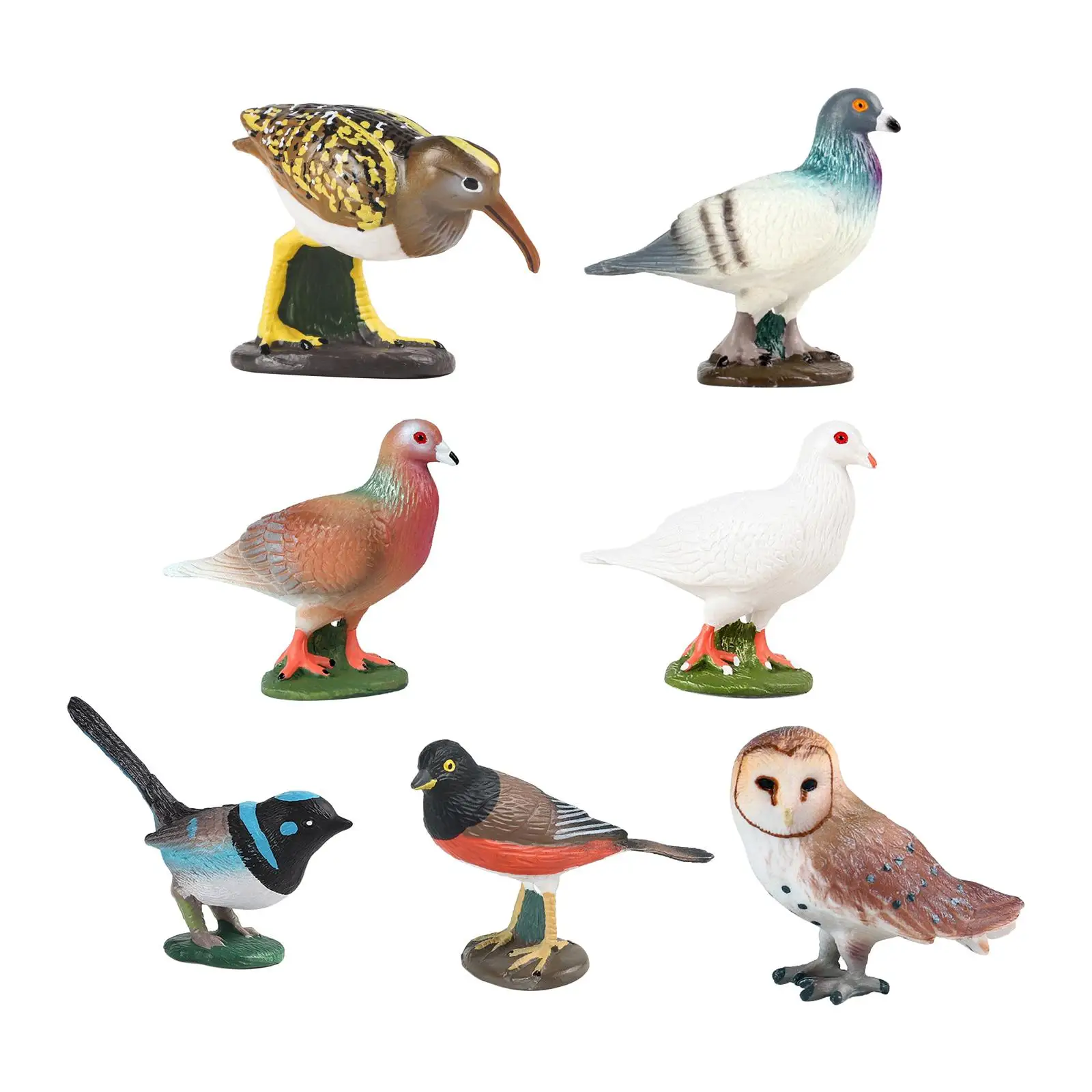Durable bird figure, fine workmanship, cute educational toy, bird model, bird