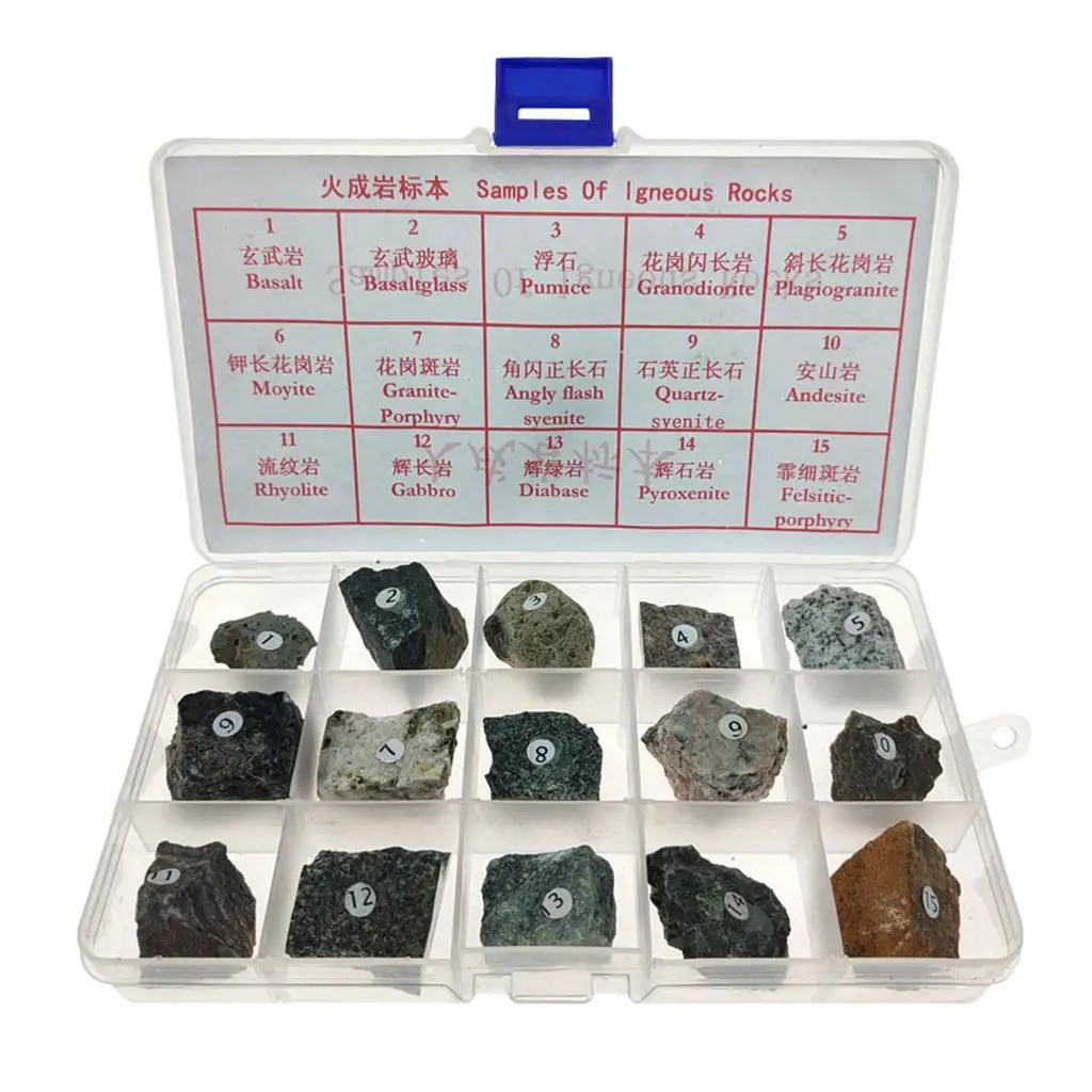 15pcs Igneous Rock Specimen Rock Teaching Aid Supplies w/ Box Ages 8 up