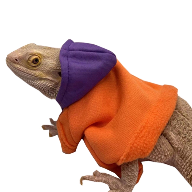 Lizards Clothes Bearded Dragon Geckos Reptiles Apparel Hand-made Hoodi ...