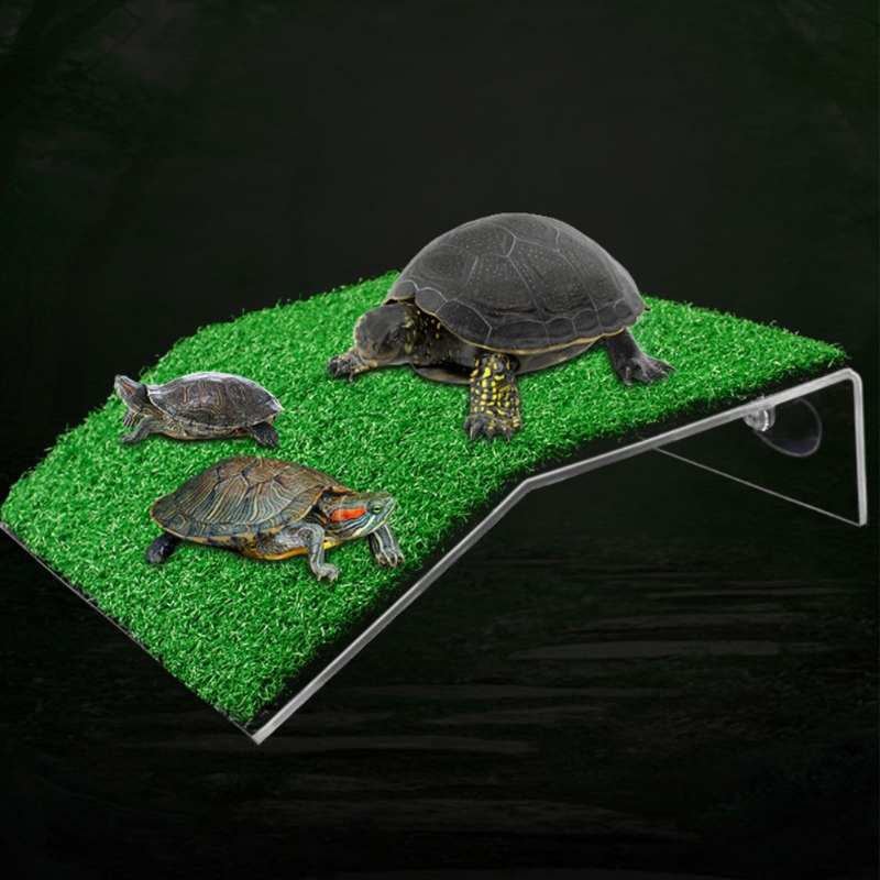 Title 9, Fish for Tank Suction Cup Tortoise Climbing Pla...