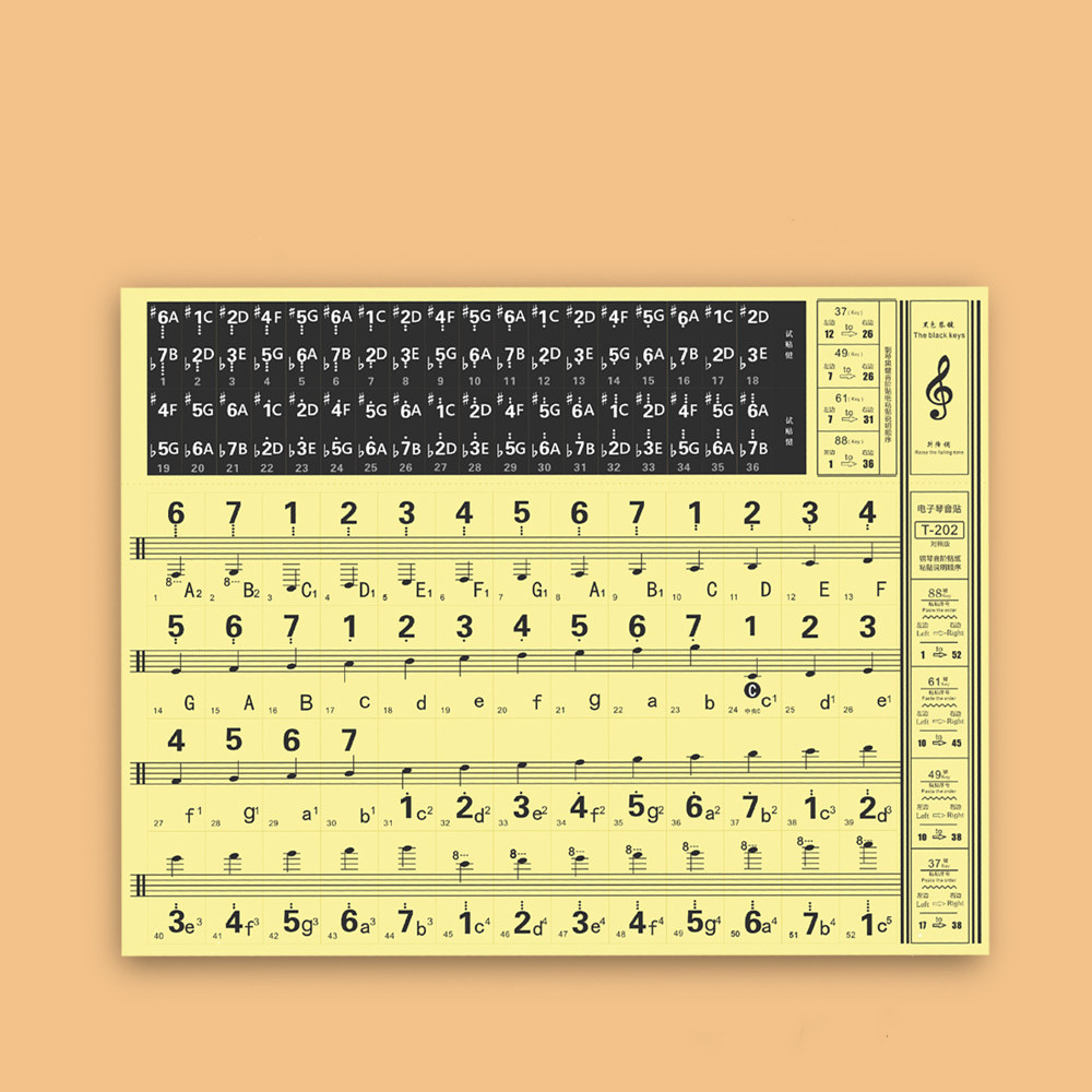 37/49/54/61/88 Tasten transparente Klaviertastatur-Aufkleber für Handrollenklavier/elektrisches Klavier, Notizwaage, Musiknotation, Anfänger – Detail 4