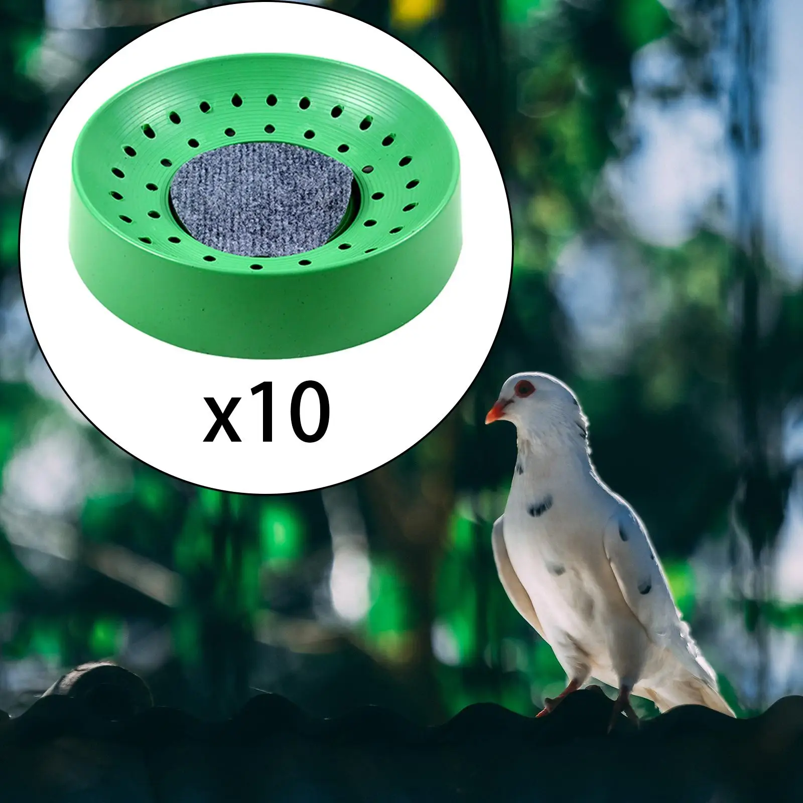 10x Plastic Pigeon Nest with Mat  Nesting Bowl Pigeon Den for Small Birds Quails