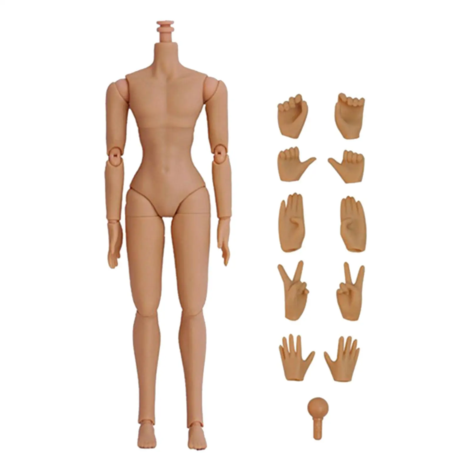 1/6 Scale Jointed Doll Body Without Head Flexible Detachable Realistic Narrow Shoulder Miniature Collectible DIY Toys