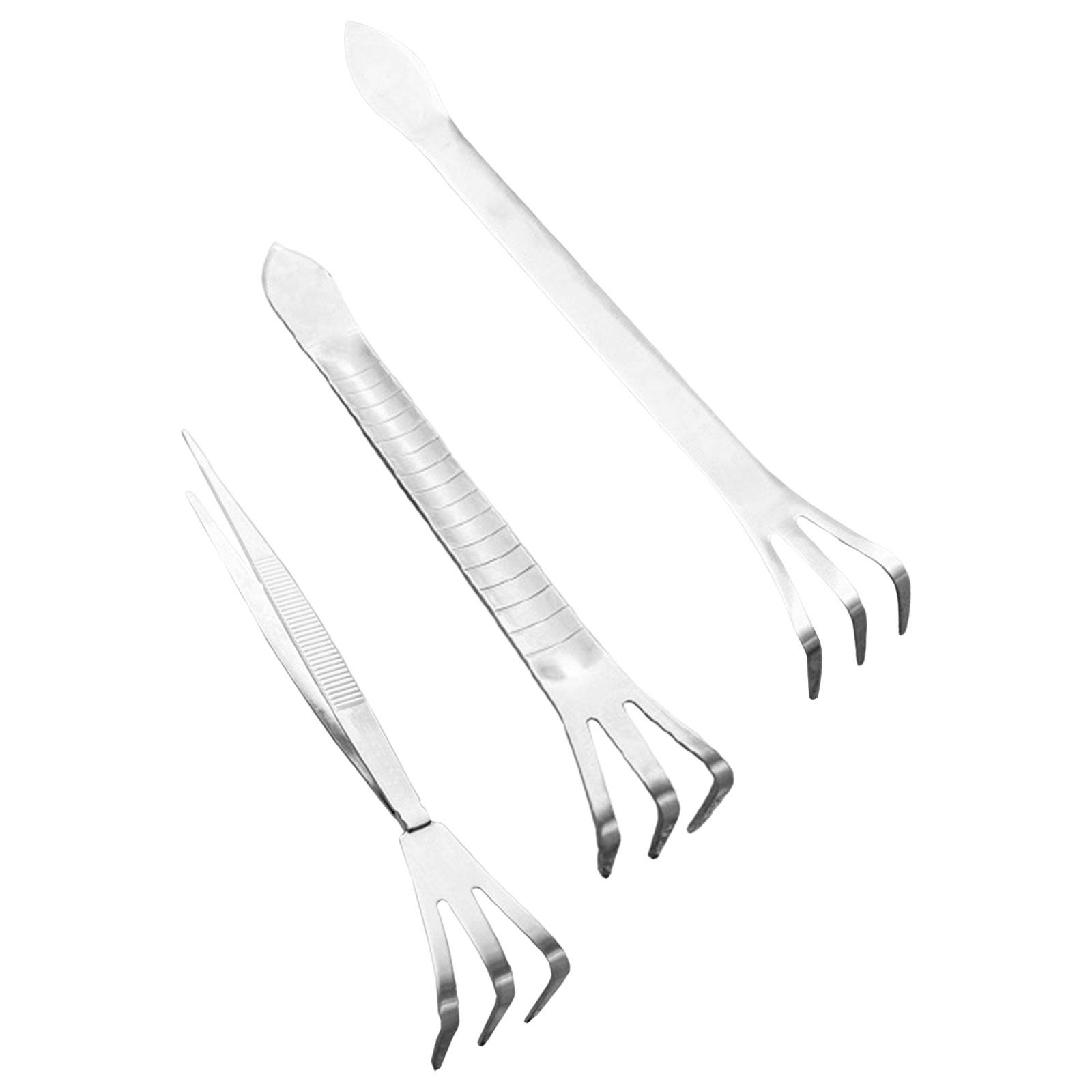 Description Picture 2 of item3 Prong Bonsai Roots Rake Stainless Steel for Transplantation Lawn Bonsai Pot