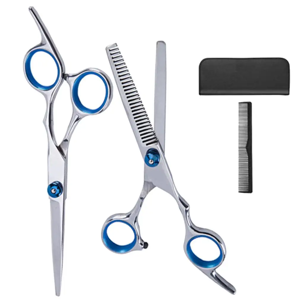 Premium Stainless Steel 6 Inch Thinning Scissors Hairdressing Scissor Set with