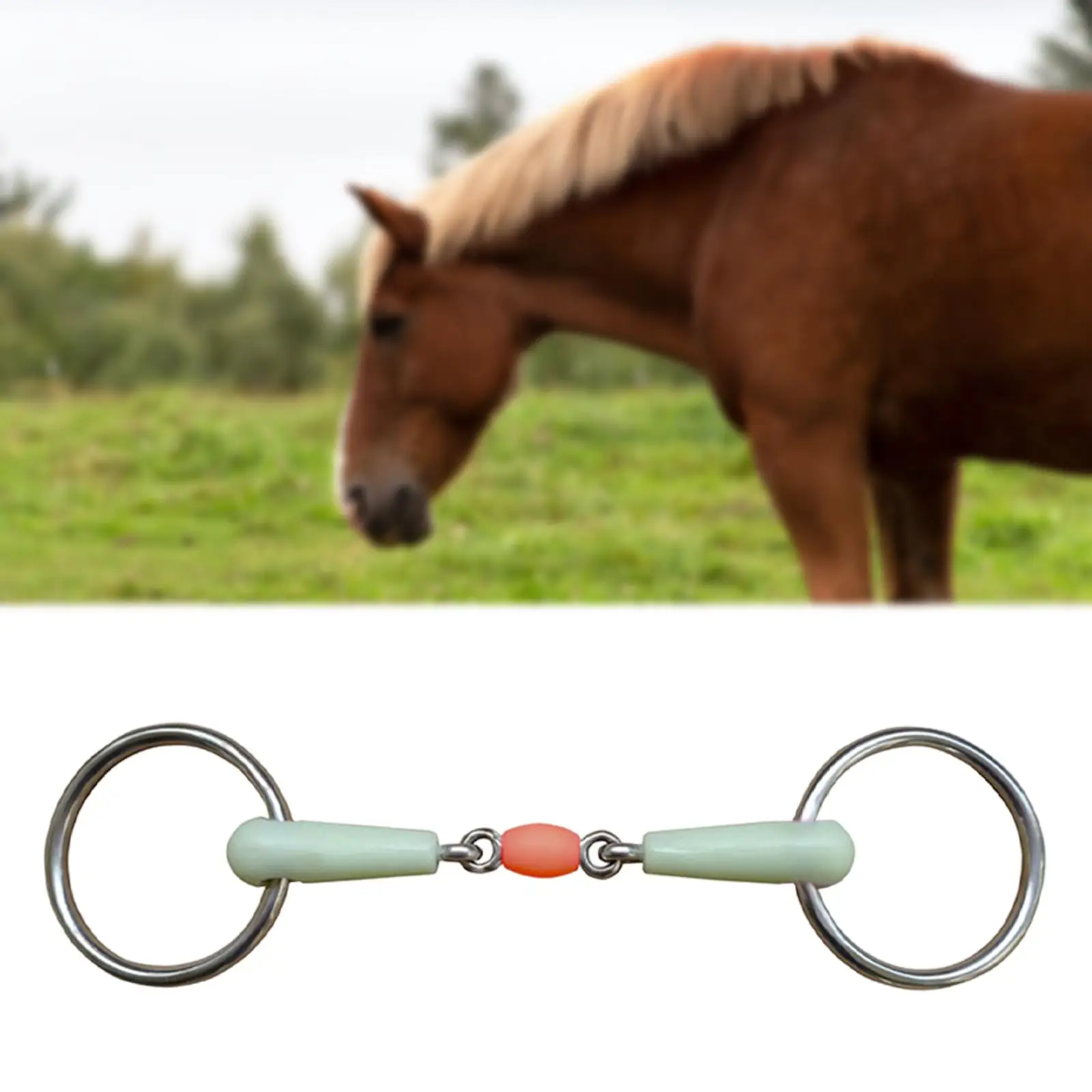 horse Mouth Bit Flavor Horse Bit Supplies Snaffle Bits Round Link for Equipment Performance Equestrian Training Cheek