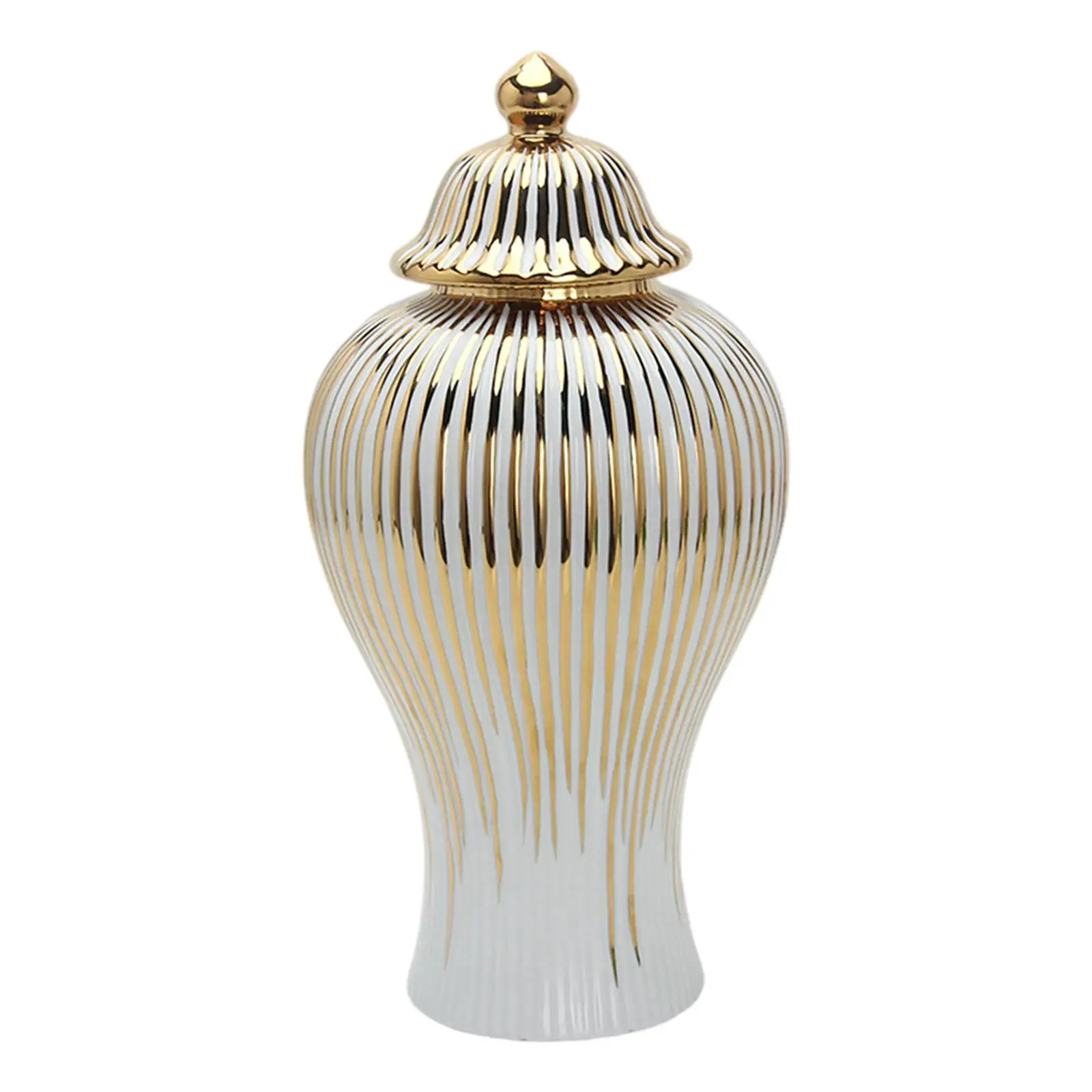 Porcelain Ginger Jar Storage Bottle with Lid Large Capacity Collectible Vase