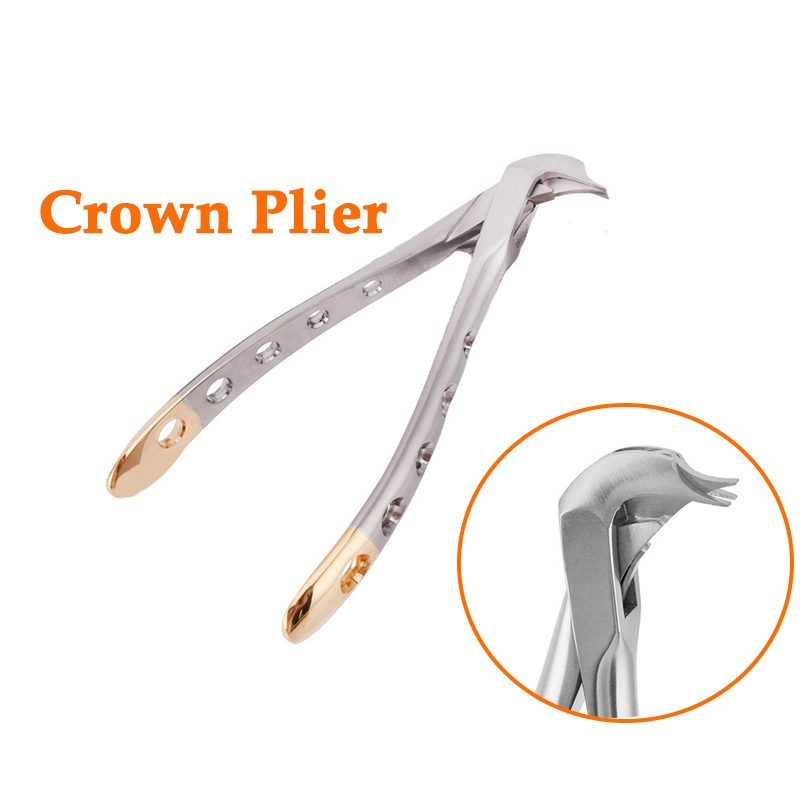 Best of Dental Crown Remover Pliers Dentist Stainless Steel Surgical Tool Dental Teeth Crown Removal Tooth Beak Forcep Spreader Plier Reviews & Tips