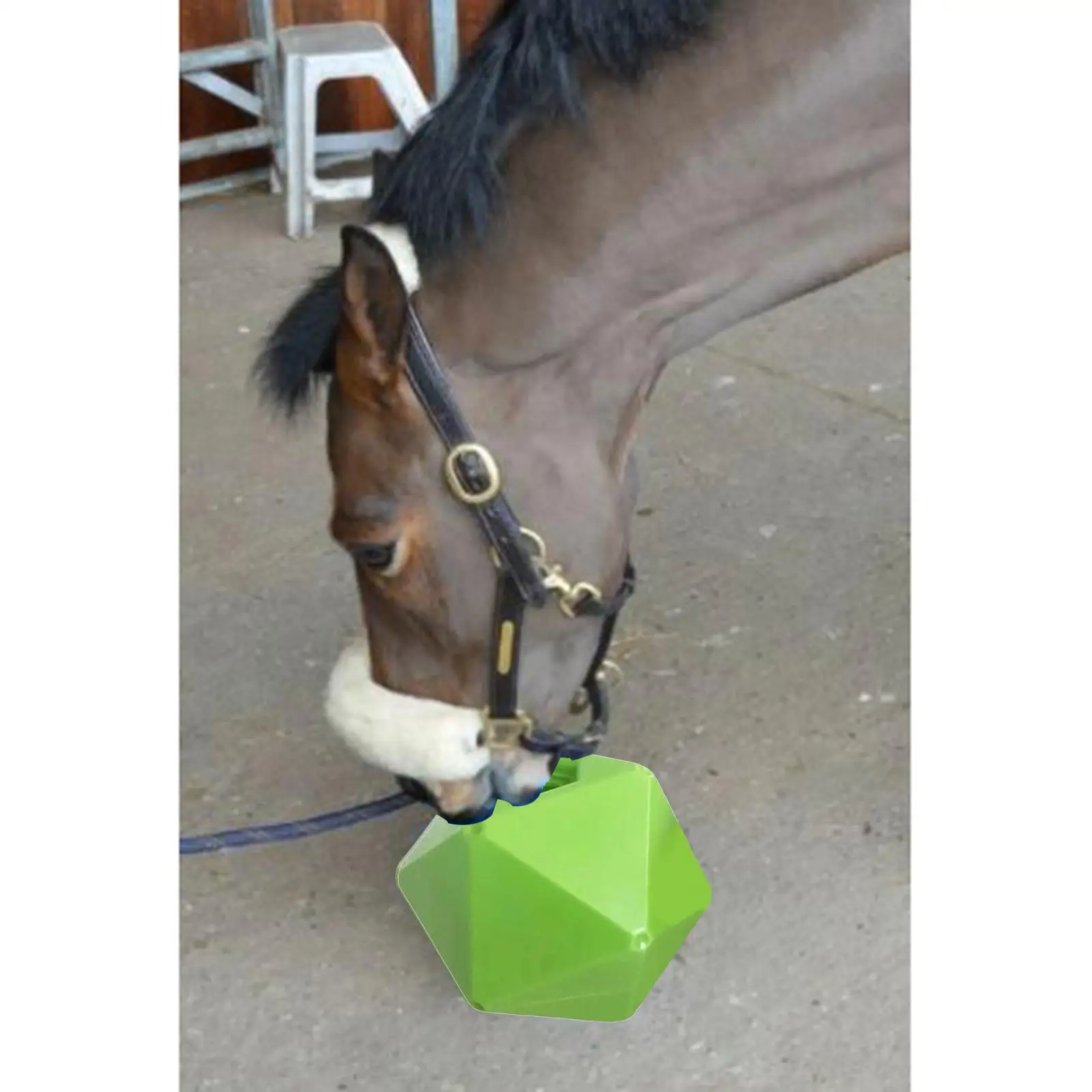 Funny Horse Treat Ball Feeding Toys Relieve Boredom Stress Feeder Stable Stall Equestrian Accessories Snack Ball for Sheep Yard
