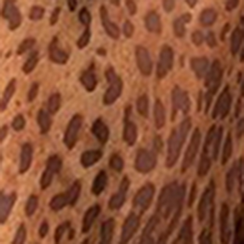 sexy, listra zebra, estampa de leopardo, sem