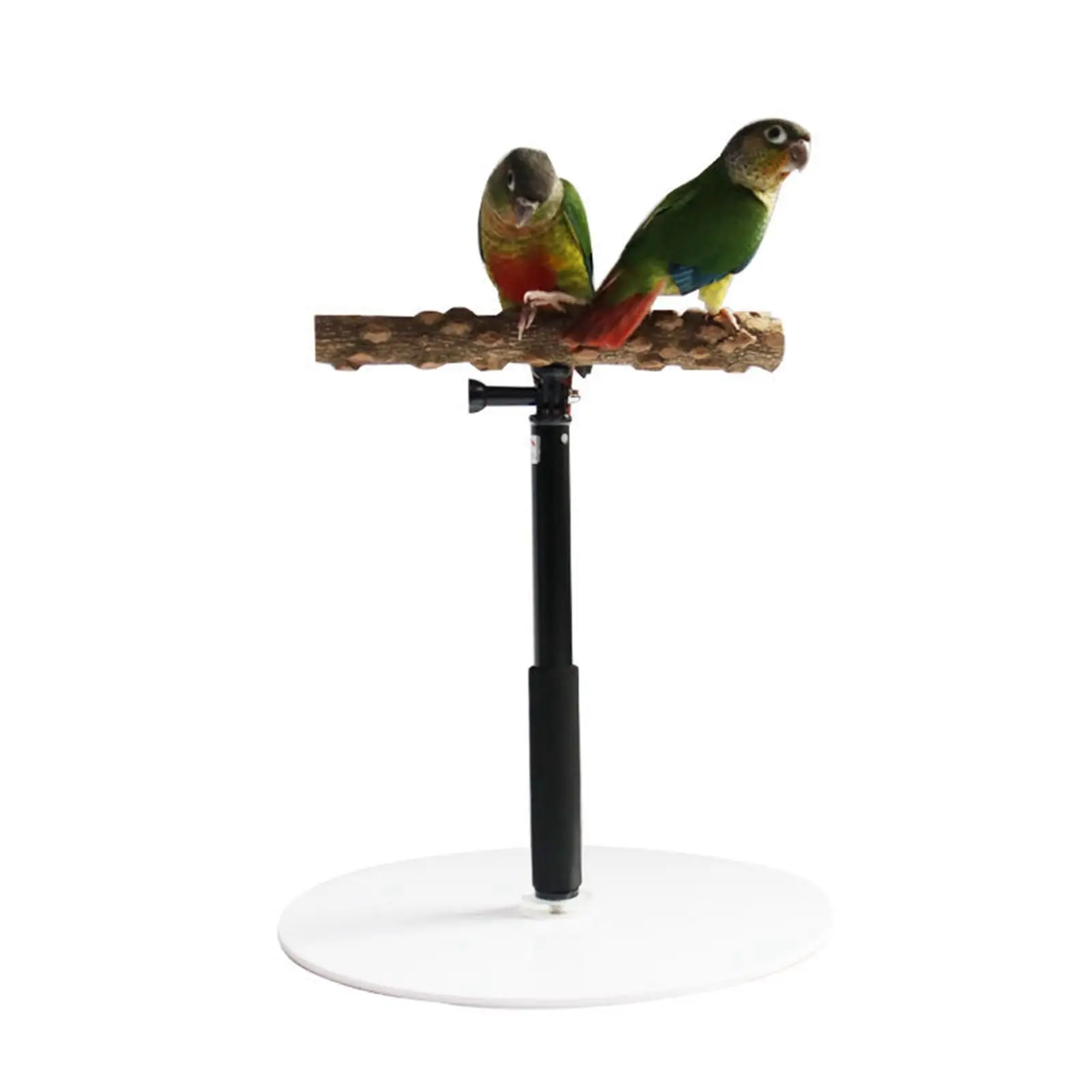 Bird Perch Parrot Training Tee Play Stands Playstand T Stand Conures Cockatiel Parakeets Bird Cage Accessories