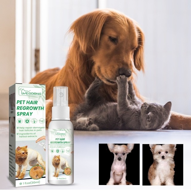 Dog hair outlet loss treatment