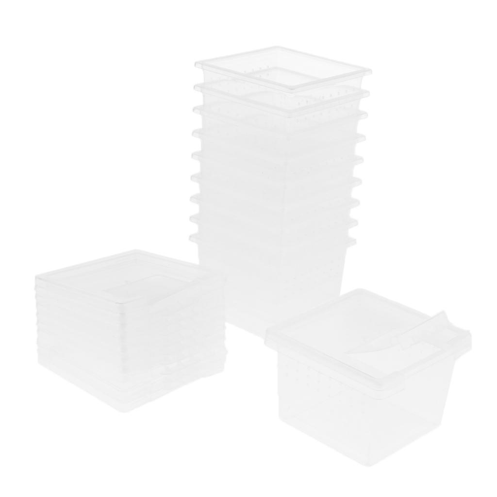 10pcs Clear Plastic Reptile Spider Lizard Scorpion Beetle Insect Breathable Breeding Feeding Box Terrariums Container
