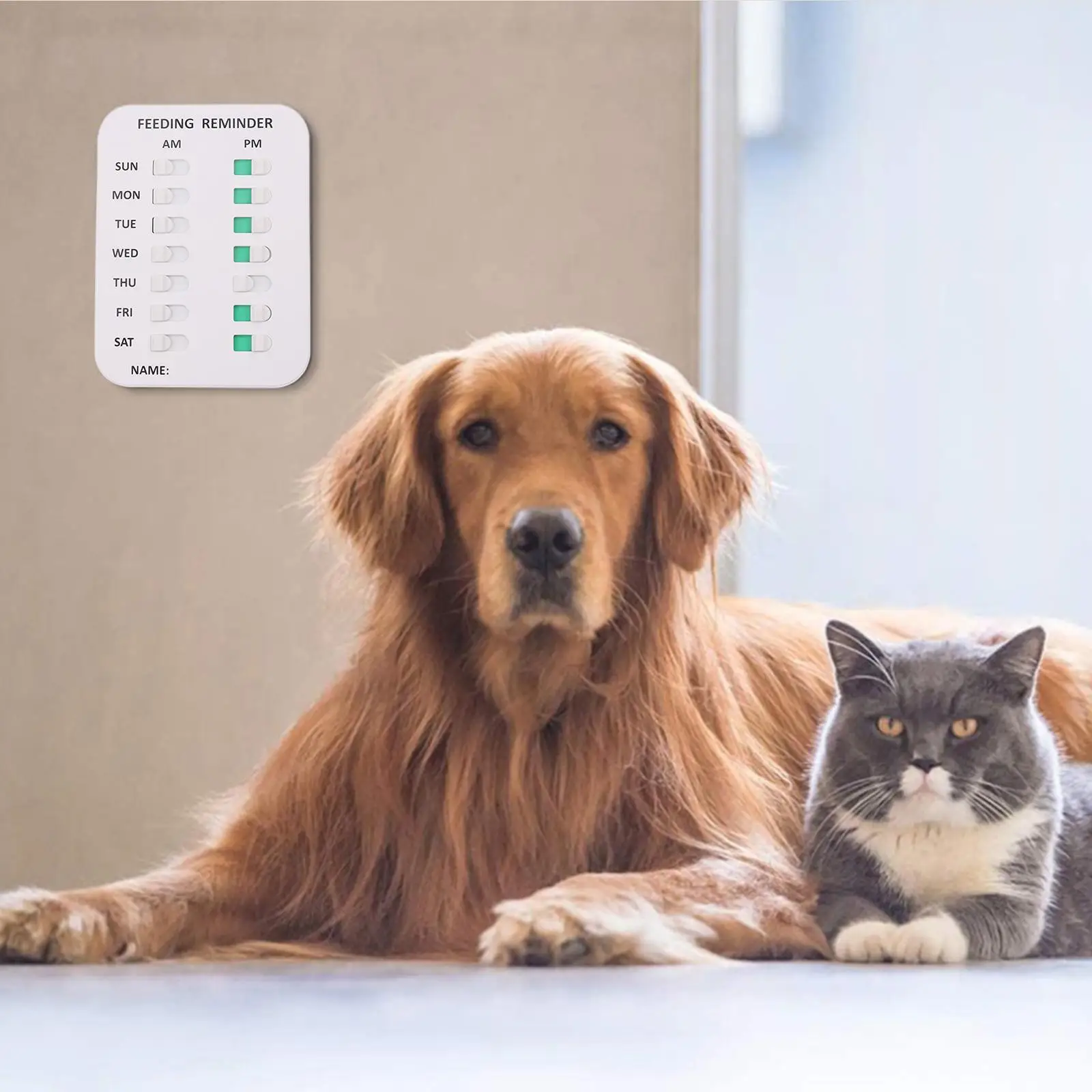 Dog Feeding Reminder Magnetic Reminder Sticker, Daily Indication Chart Feed Your Cat, Overfeeding or Obesity