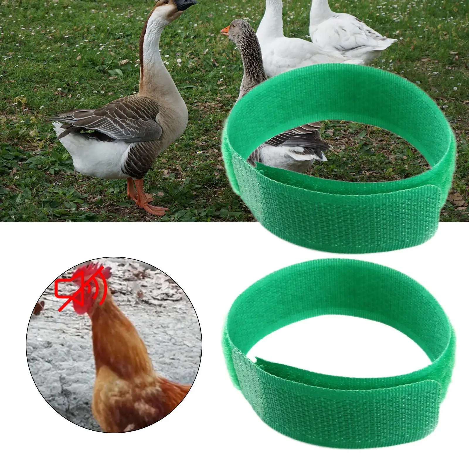 2Pcs  Rooster Anti Crow Collar Neck Belt Chicken Collar  Noise