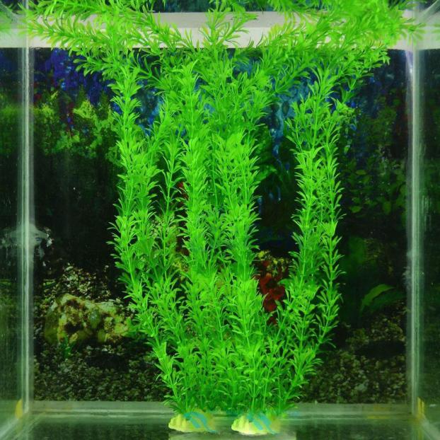 Title 1, Artificial plastic fish decoration 1 grass wate...