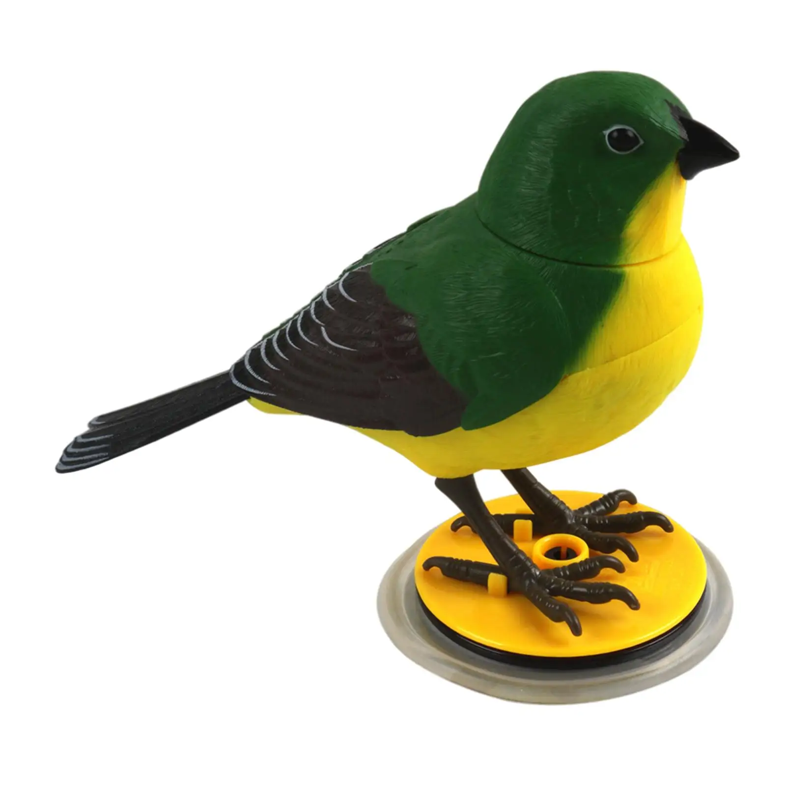 Simulated Sounding Voice Activated Bird Figure Model Music Educational Toys