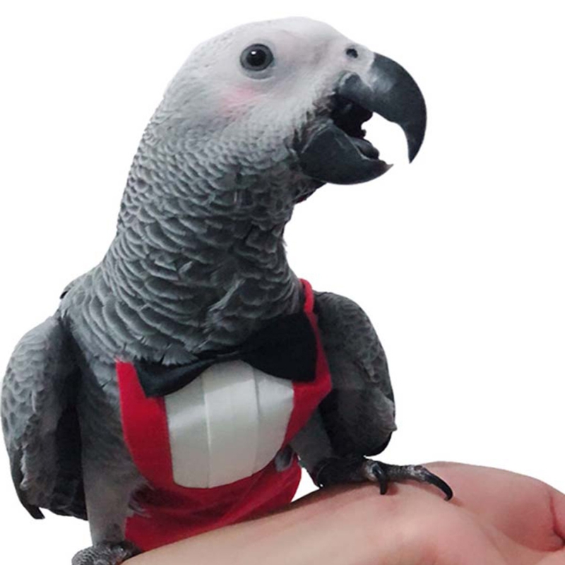Bird Diaper Flight Suite, schützende Papageienwindeln mit wasserdichter Innenschicht, niedlicher Urin-Nassanzug mit Fliege für – Detail 7