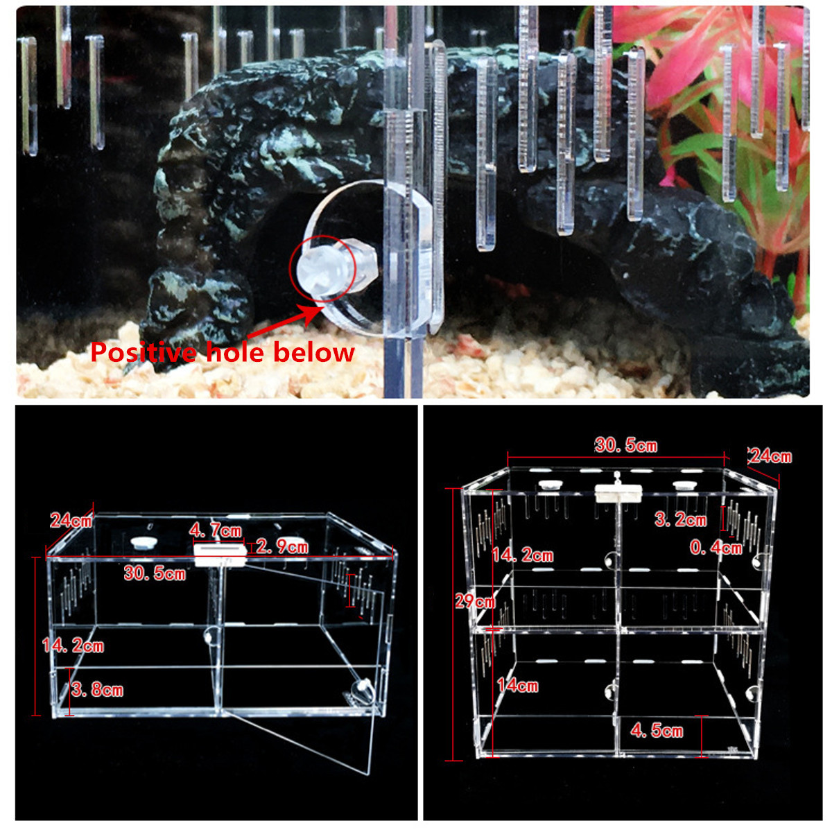 Title 5, Reptile Feeder Tank Acrylic Terrarium Insect Sp...