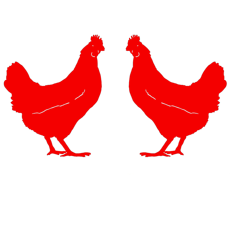 Auto Aufkleber Zwei Huhn Muster Persönlichkeit, Motorrad Aufkleber Produkte Dekoration Caravan Zubehör Abdeckung Kratzer Nette – Detail 3
