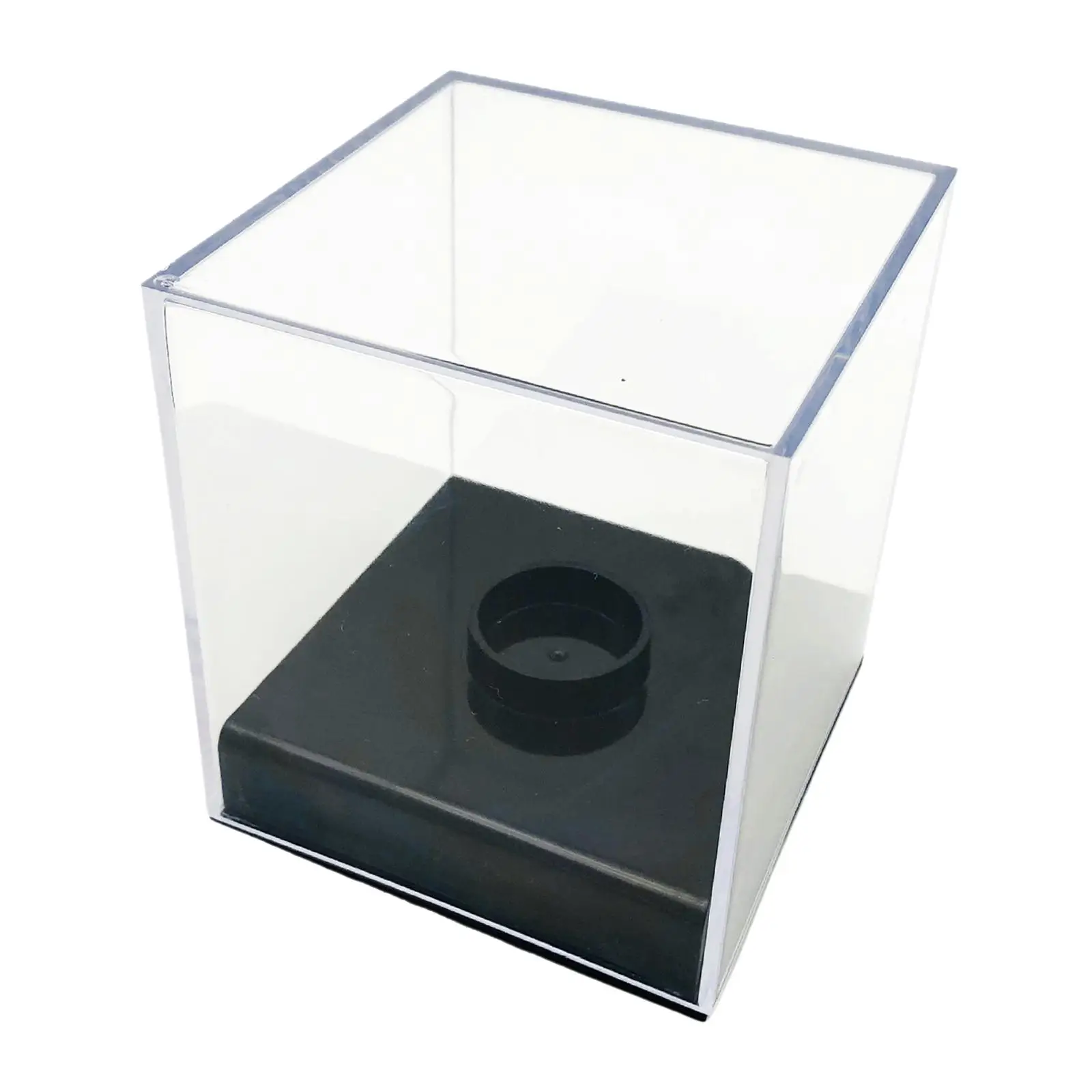 Baseball Holder Display Box Dustproof with Bracket Baseball Storage Display Case