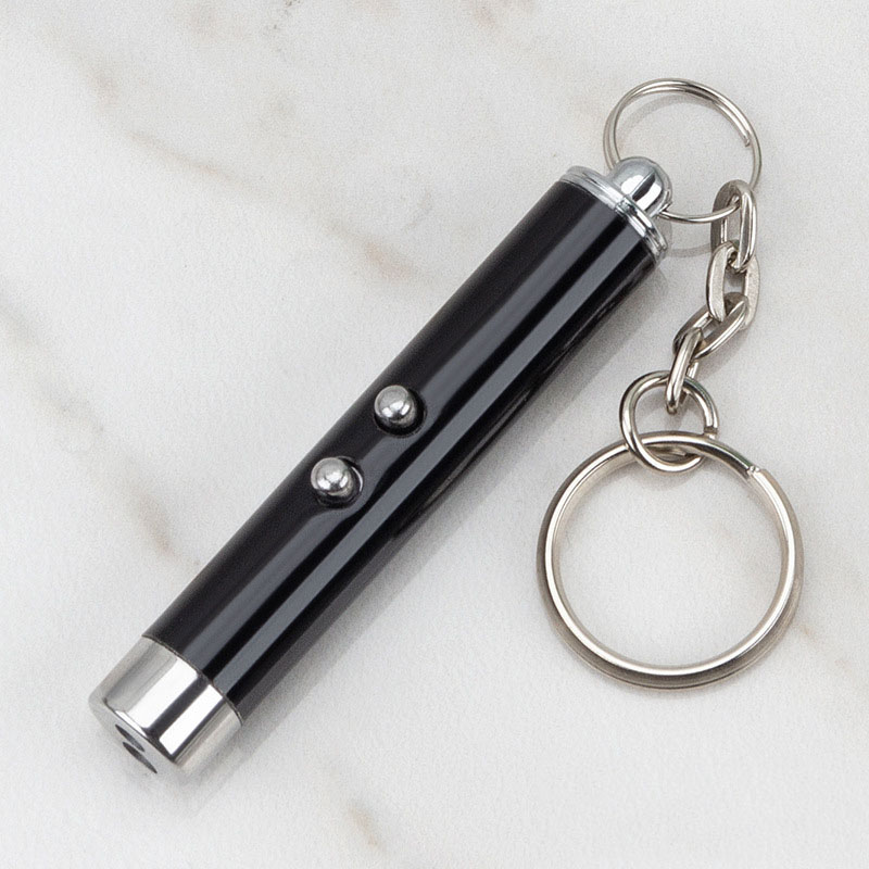 Light Torch LED Pointer Toy