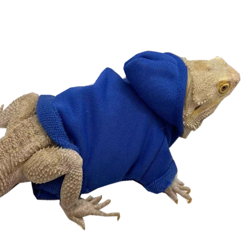 Lizards Clothes Bearded Dragon Geckos Reptiles Apparel Hand-made Hoodi ...