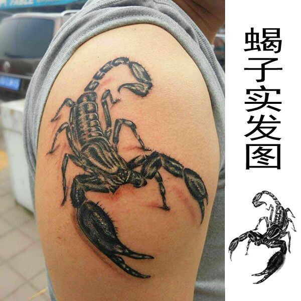 Skorpion-Tattoos für Frau, Mann, Goth, temporäre Tattoos, Punk-Hals-Arm-Tattoos, wasserdichte Tattoo-Aufkleber, Kunst, gefälschte Tattoo-Geschenke – Detail 9