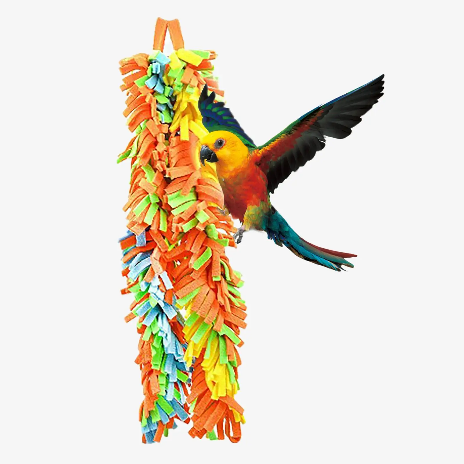 Bird Chewing Toy Budgie Cockatiel Parakeet Training Toys Birds Accessories