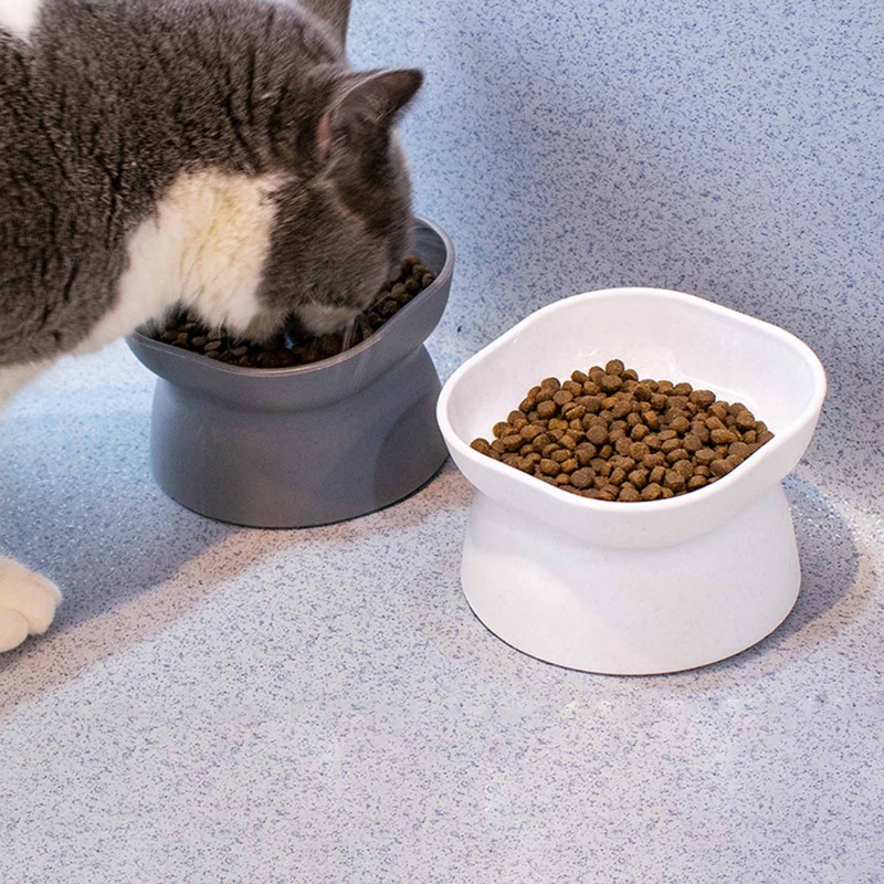 Title 5, Elevated Non-Slip Pet Bowls For Cats Water Bow...