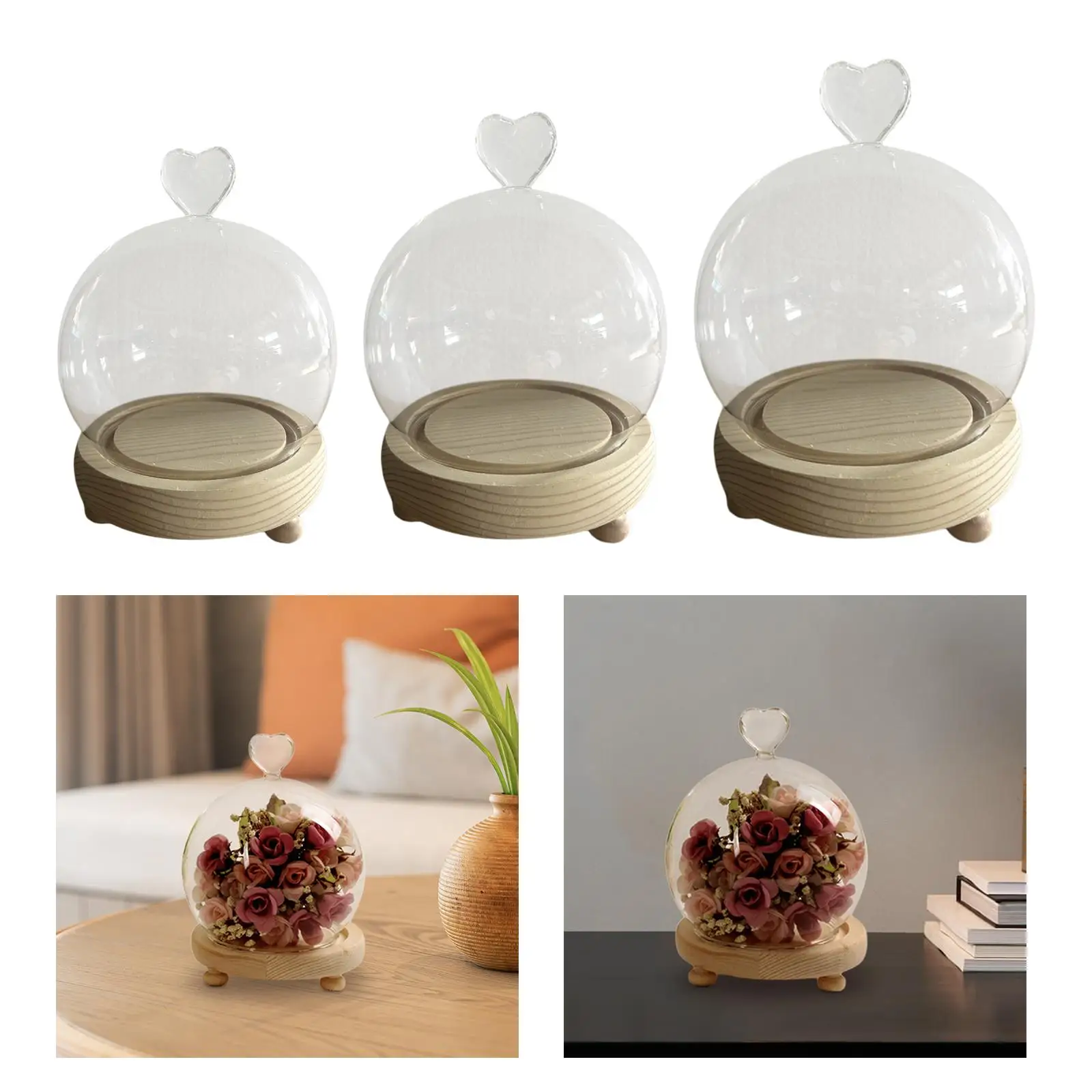 Display Dome with Wooden Base Glass Dome Showcase Clear Birthday Gifts Glass