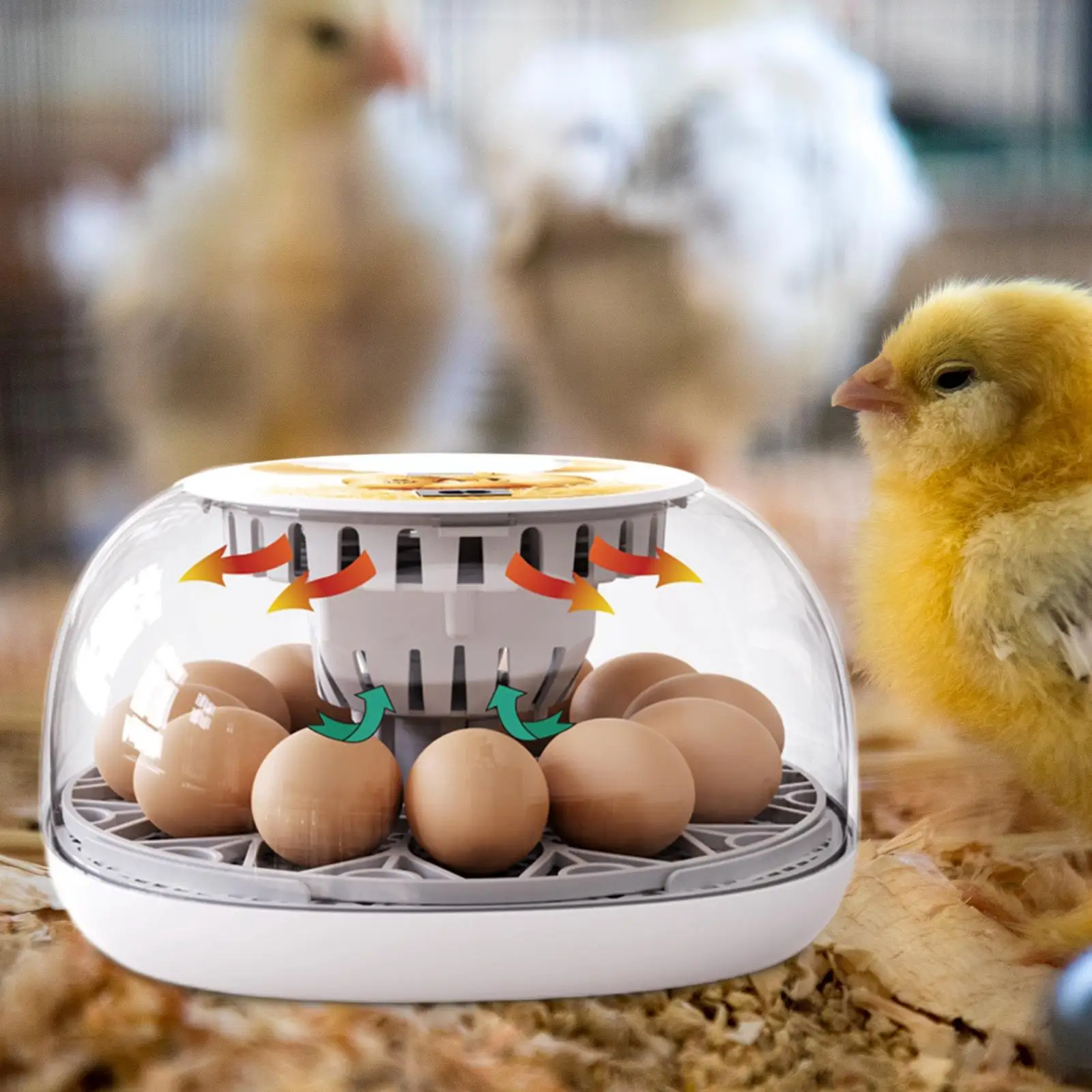 Egg Incubator Manual Egg Turner Digital Chick Incubator Transparent Cover Electric Hatcher Machine for Pigeon Duck Birds Quail