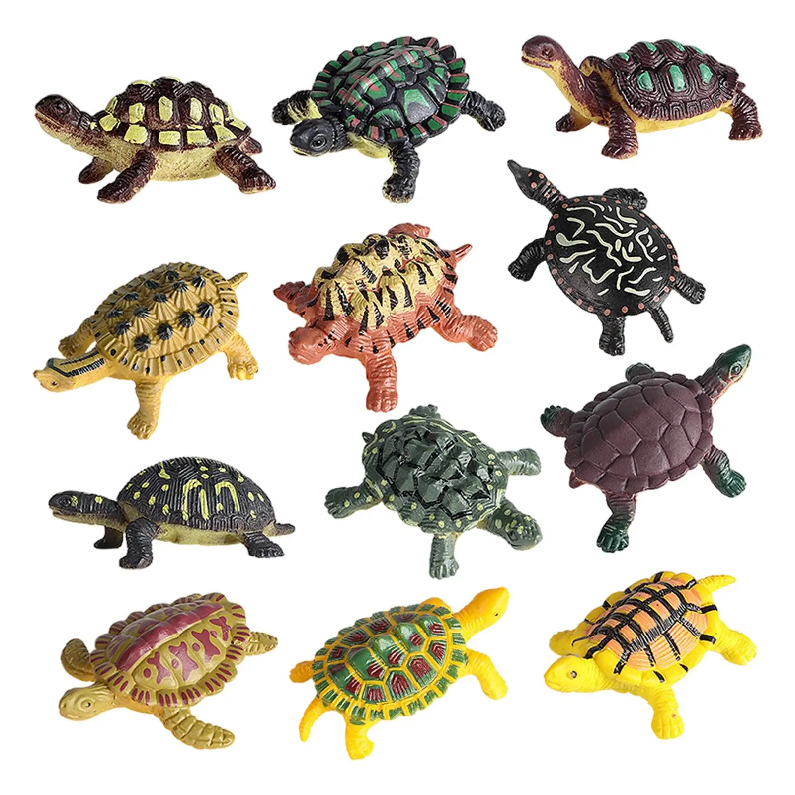 12x  Animal Turtle Series Model Figures Collection Educational Toy