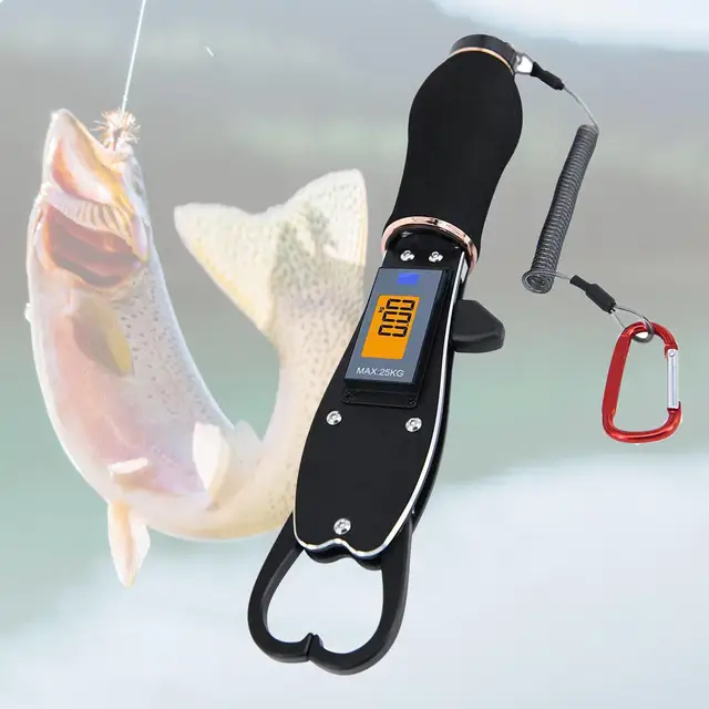 Fish Grabber Clip with Electronic Scale Fish Control Tackle Waterproof  Multifunctional Professional Fish Holder Fish Lip Grabber - AliExpress