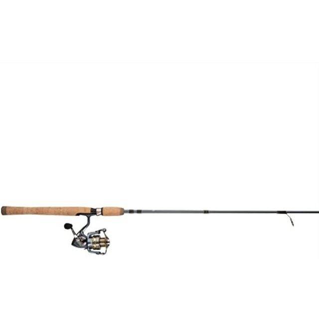 Pflueger President Spinning Reel and Fishing Rod Combo (All Models