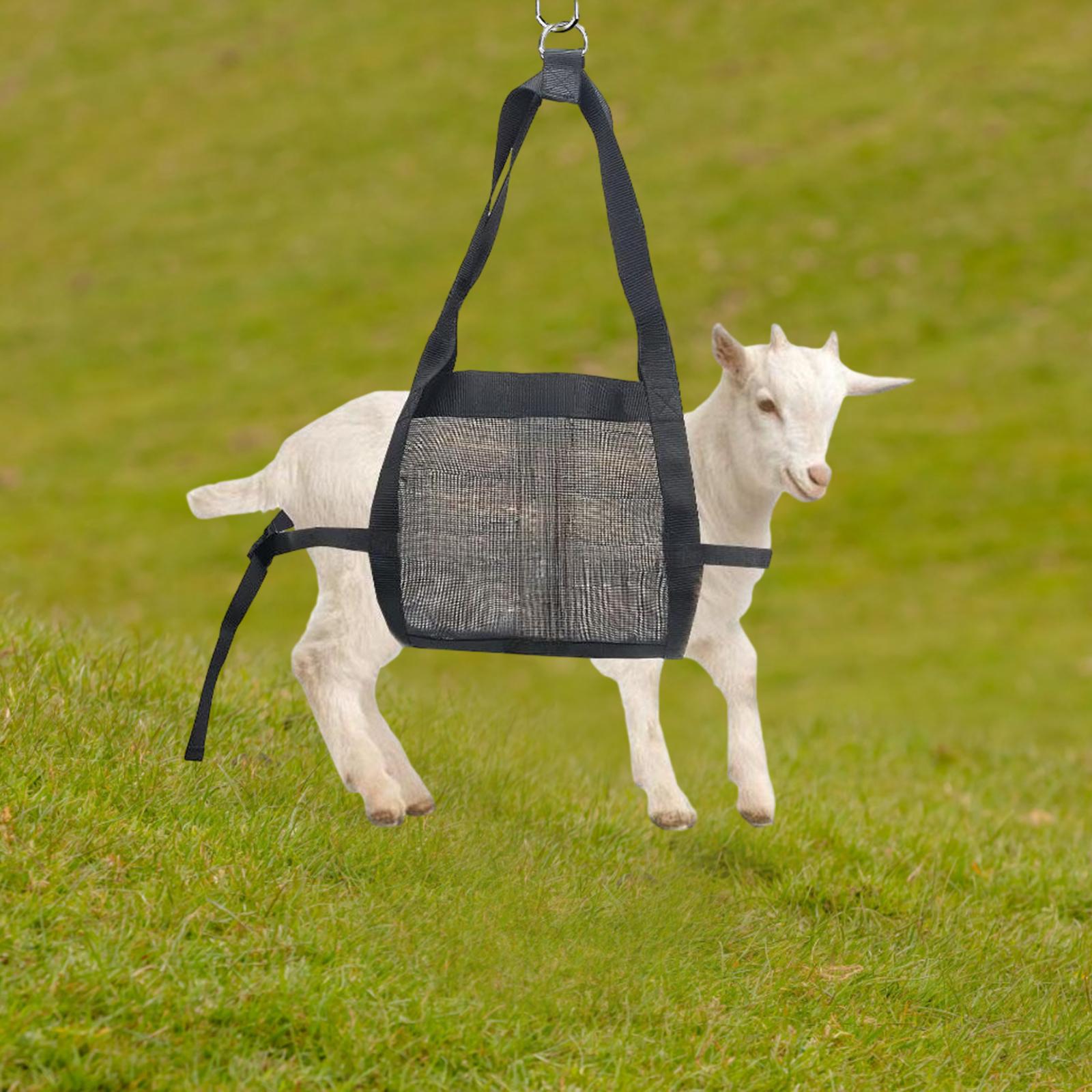 Weight Scale Sling with Adjustable Straps Heavy Duty Weighing Strap Hang Scale Sling for Baby Alpacas Livestock Sheep Pigs Dogs