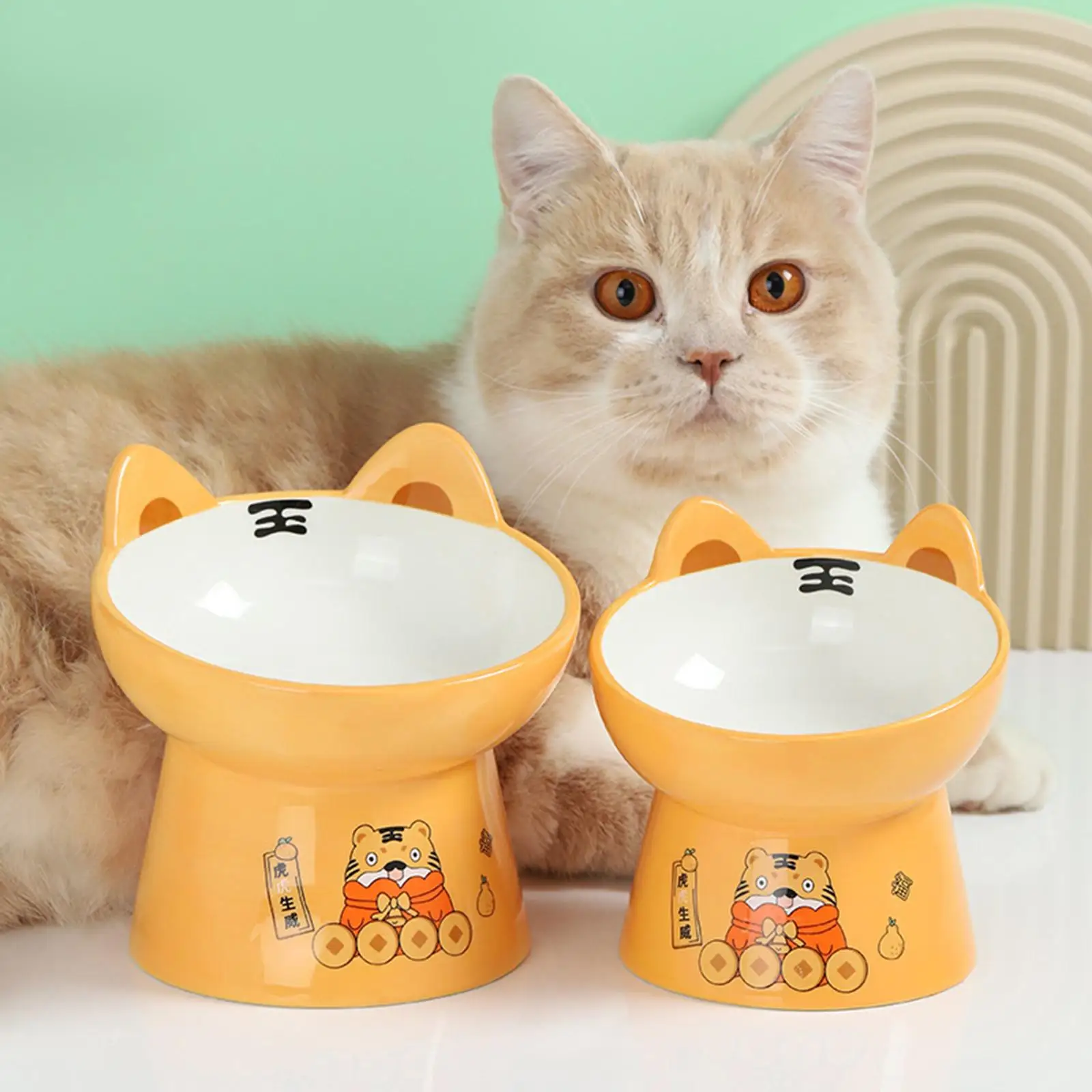 Cat Bowl Tilting Protect Cat`Spine Feeding and Drinking Cat Dish Raised Pet Food