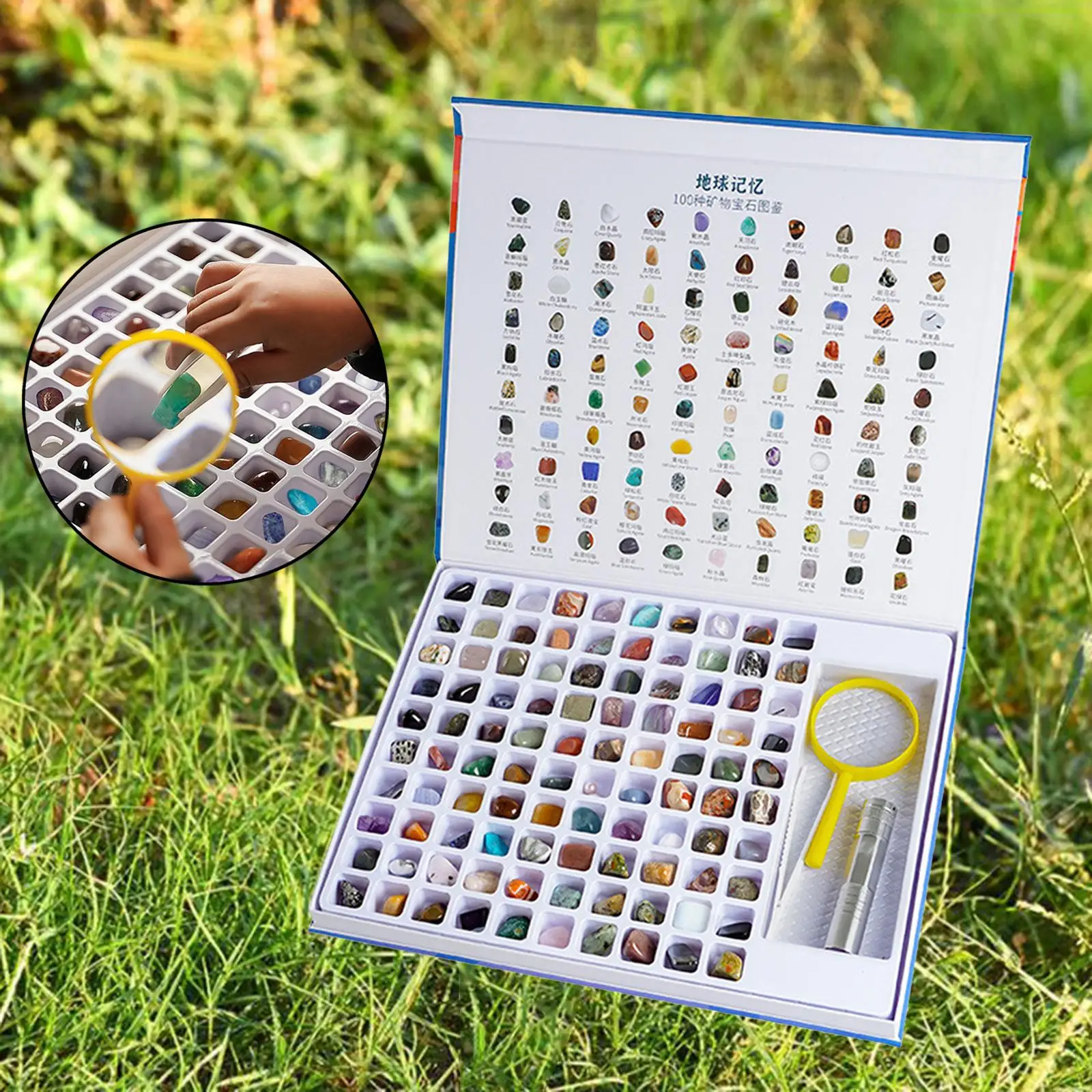 Geology GEM Kit for Kids with Collector Boxwith Display Case for Classroom