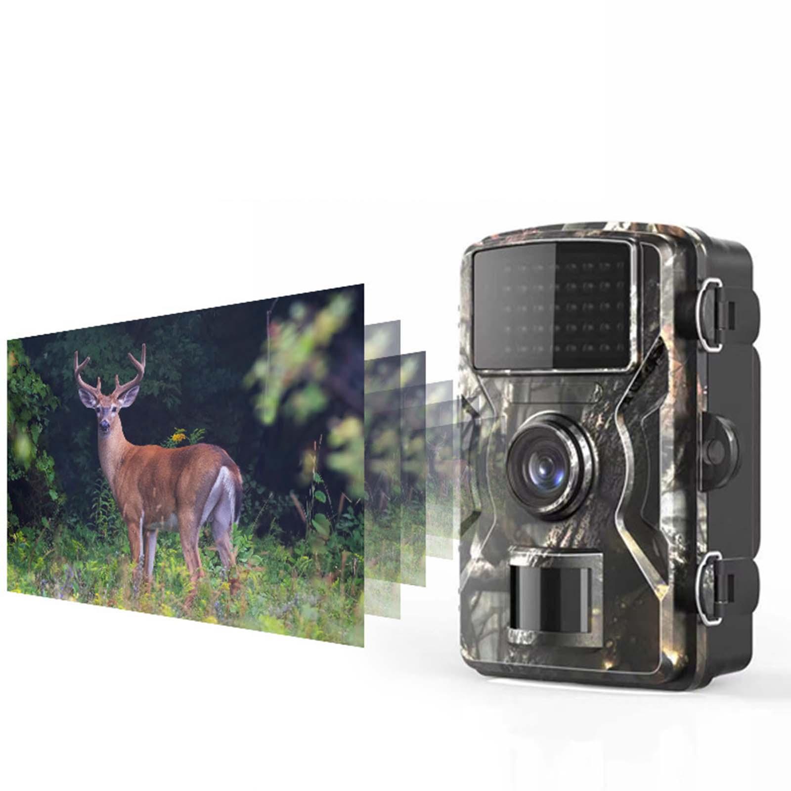1920x1080 Trail Camera Hunting Camera for Wildlife Viewing Farm Area